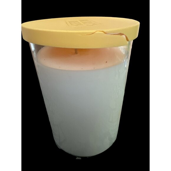 Burt's Bee Vanilla Honey Soy Candle 2 Wick Brand New 11 OZ Discontinued Scent - Picture 2 of 5